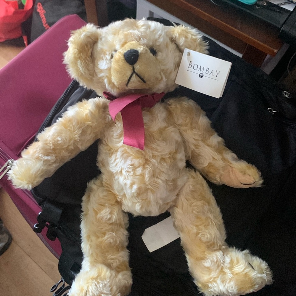 Limited Edition Bombay Teddy Bear Stanley Children’s wish foundation NWT